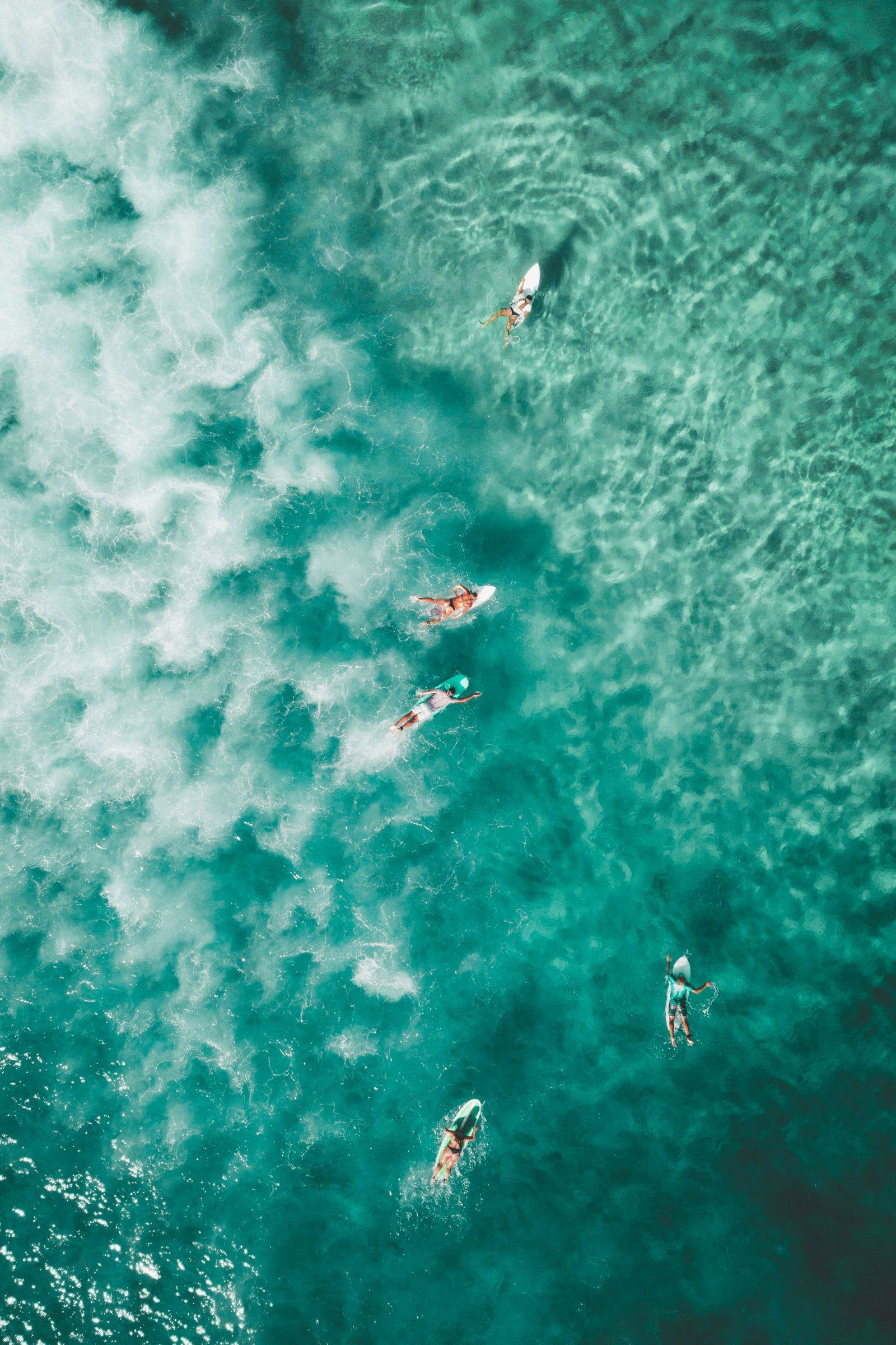 Vue aérienne de nageurs dans une eau turquoise, univers mer, plage et plongée